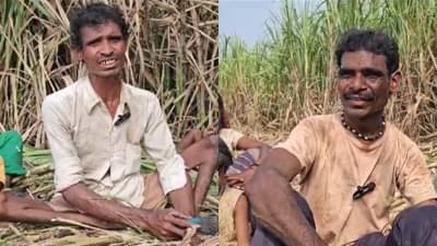 पाय अधू तरी सपासप ऊस तोडणी करतात, सातपुड्यातील अपंग आदिवासी बंधूंचा संघर्ष