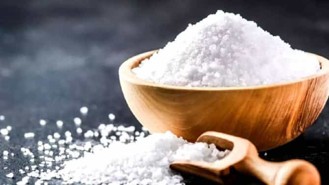 Vastu Tips : मीठाच्या पाण्याने घराला पोछा मारल्यास नकारात्मक उर्जा होते दूर, हे सोपे उपाय अवश्य करा