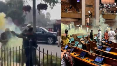 Security Breach in Loksabha : संसदेत गोंधळ घालणाऱ्या दोन व्यक्ती अटकेत; एकाचं आहे थेट महाराष्ट्र कनेक्शन