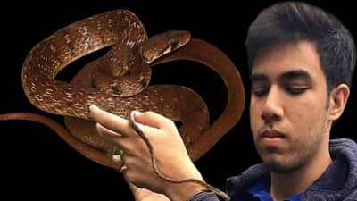 तेजस ठाकरे अन् टीमकडून 10 नवीन प्रजातींचा शोध, जैवविविधतेवर टाकला प्रकाश