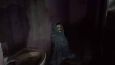 कोणी तरी आहे तिथे... रात्रीच्या अंधारात शौचालयात असं काही दिसलं की... नेमकी भानगड काय?