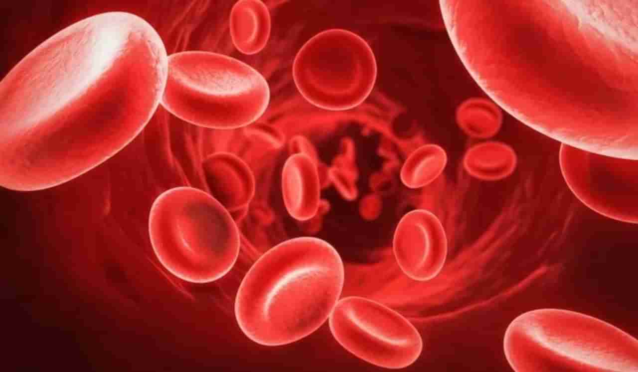 Hemoglobin : शरीरात रक्ताची कमतरता असेल तर या घरगुती उपायांनी वाढवा हिमोग्लोबिन