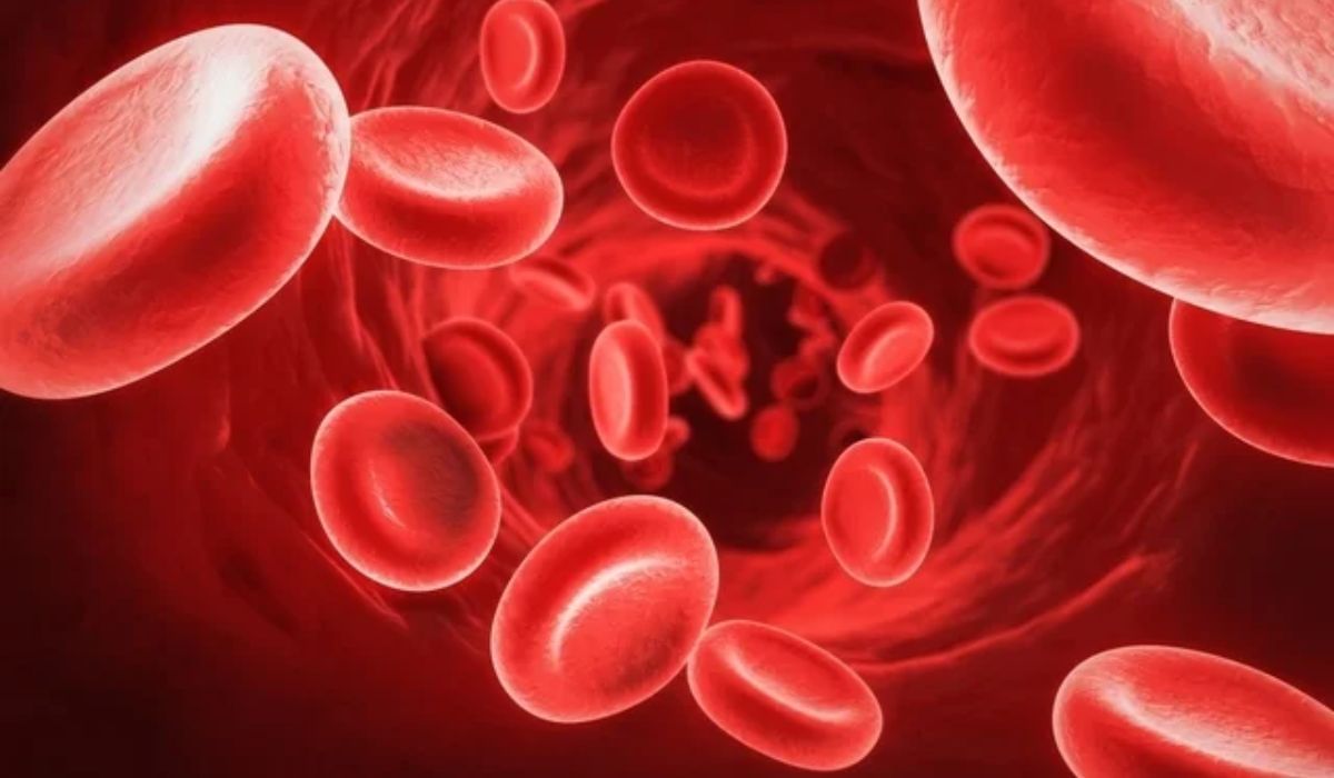 Hemoglobin : शरीरात रक्ताची कमतरता असेल तर या घरगुती उपायांनी वाढवा हिमोग्लोबिन