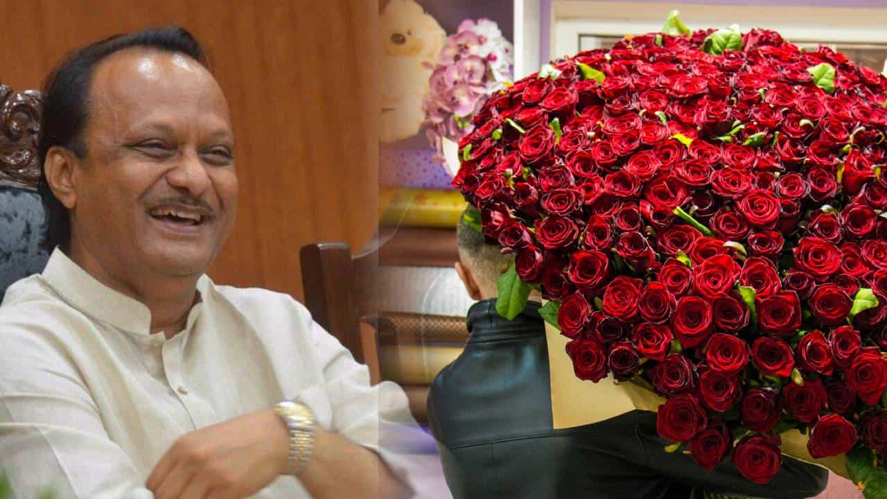 नादच खुळा...असला बुके कधी पाहिलाय का? १,३६९ गुलाबांच्या फुलांचा गुच्छ अजितदादांना देणार