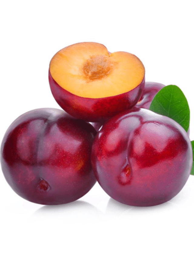 Plum Benefits: आलुबुखार खाण्याचे 5 जबरदस्त फायदे Plum Benefits: आलुबुखार खाण्याचे 5 जबरदस्त फायदे
