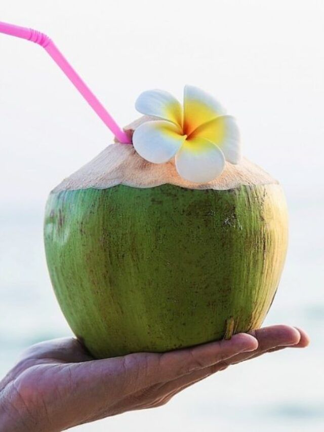coconut water Benefits कोलेस्ट्रॉल ते रक्तदाब, नारळाचे पाणी पिण्याचे