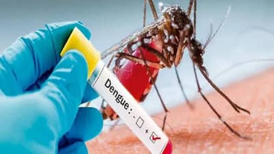 राज्यात दर तासाला दोघांना डेंग्यूची लागण, सर्वाधिक रुग्ण या राज्यात; गंभीर रोगाचे महाराष्ट्रात रुग्ण किती ?
