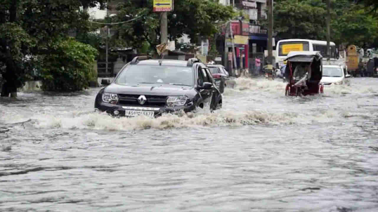 पावसाने मोडला 80 वर्ष जुना रेकॉर्ड, रस्त्यावर दिसू लागल्या मगरी