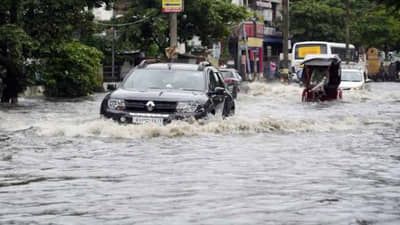 पावसाने मोडला 80 वर्ष जुना रेकॉर्ड, रस्त्यावर दिसू लागल्या मगरी