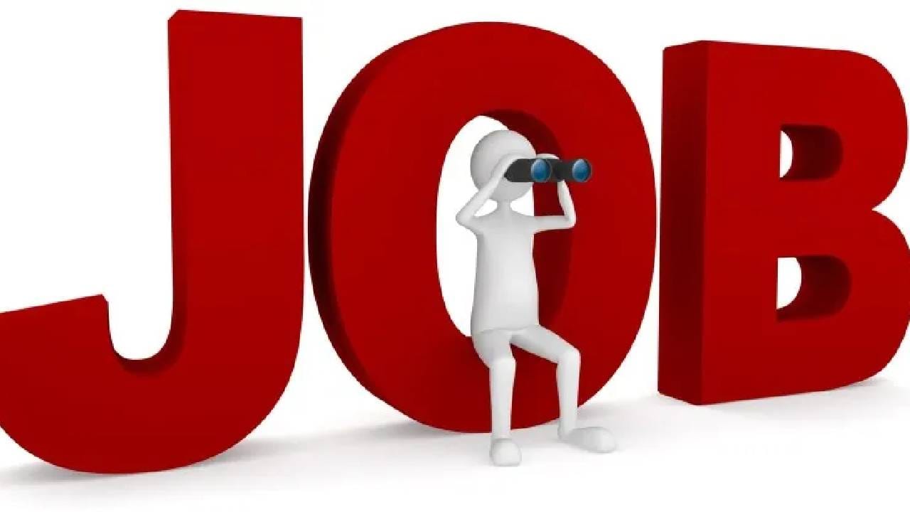 या भरती प्रक्रियेबद्दलची सर्व माहिती ही आपल्याला dsssb.delhi.gov.in. या साईटवर मिळेल. ही एक प्रकारची बंपर भरतीच म्हणावी लागणार आहे. 