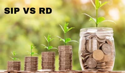 SIP की RD कुठे करावी गुंतवणूक? जाणून घ्या दोघांमधील फरक, कोण देतं अधिक परतावा