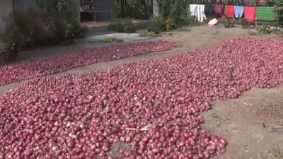 कांद्यावरुन बाजार समिती-प्रशासन संघर्ष पेटणार, व्यापाऱ्यांवर मोठ्या कारवाईची...