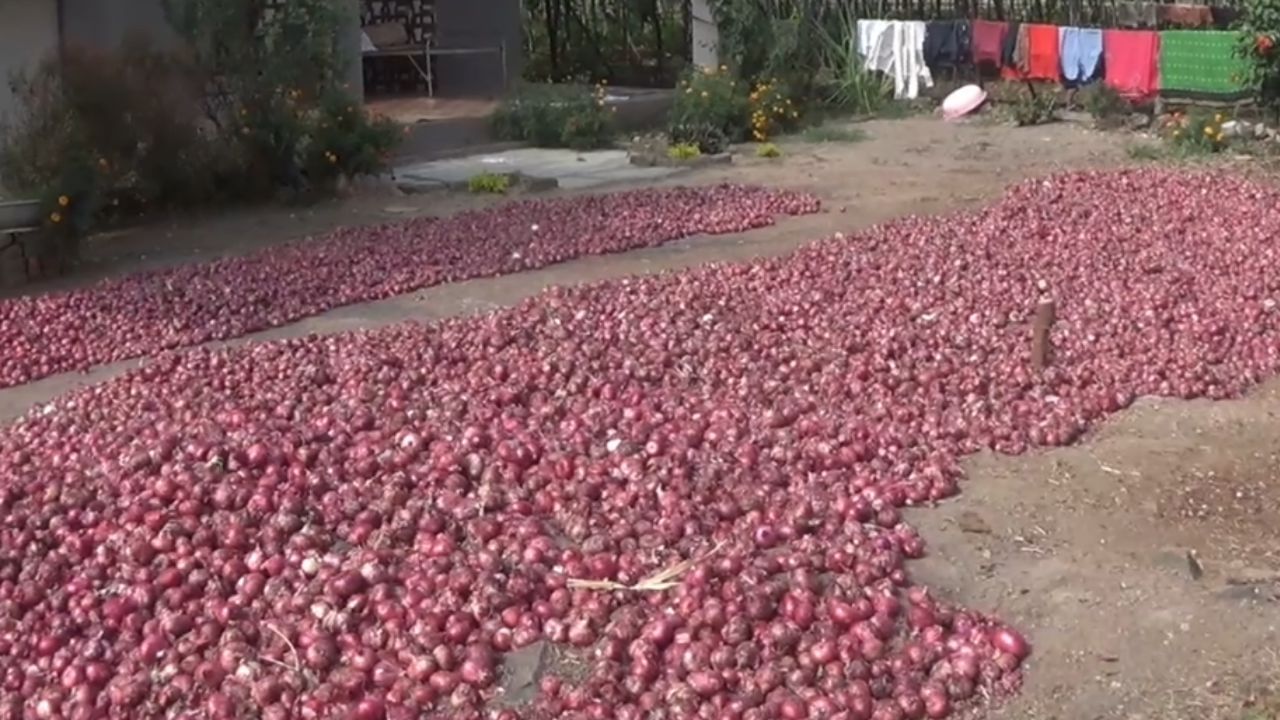 कांद्यावरुन बाजार समिती-प्रशासन संघर्ष पेटणार, व्यापाऱ्यांवर मोठ्या कारवाईची...