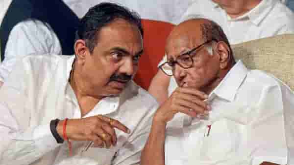मोठी बातमी ! शरद पवार गट लोकसभेच्या किती जागा लढवणार?; जयंत पाटील यांनी सांगितला आकडा