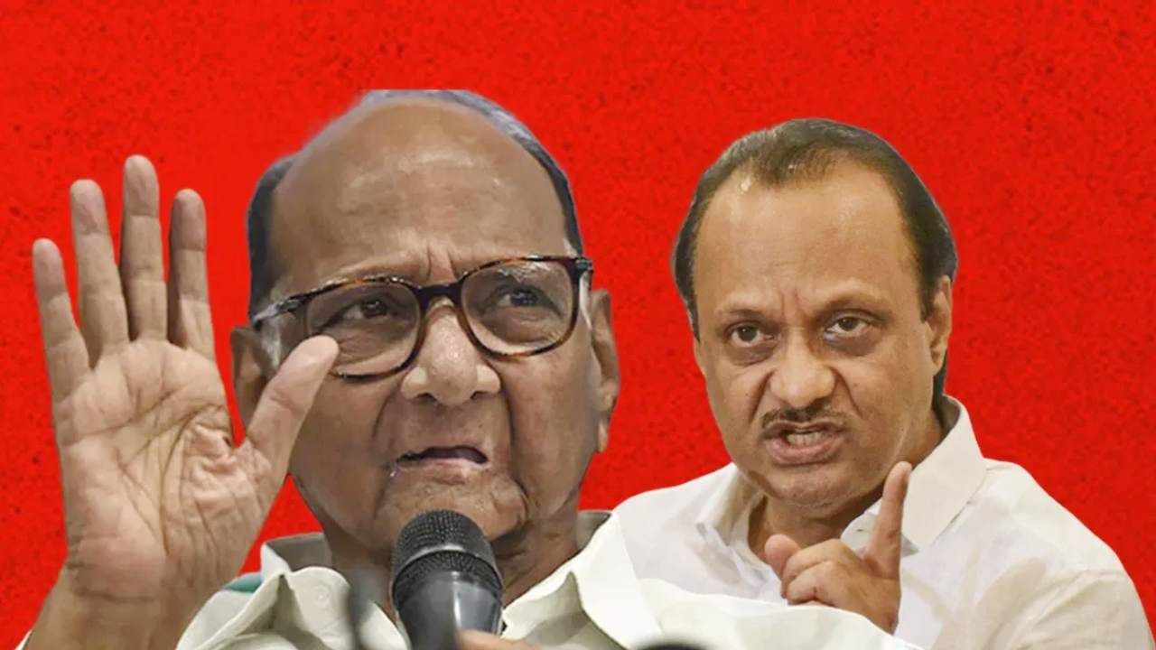 बंडावरून काका-पुतण्यात जुंपली? अजितदादांच्या खोचक टीकेला शरद पवार यांचंही थेट प्रत्युत्तर बंडावरून काका-पुतण्यात जुंपली? अजितदादांच्या खोचक टीकेला शरद पवार यांचंही थेट प्रत्युत्तर