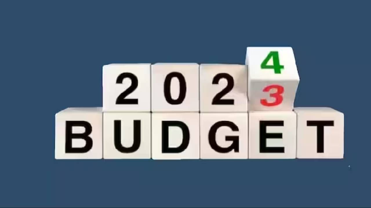 Budget 2024 | मोदी सरकारचा बजेटमध्ये मास्टर स्ट्रोक, महिलांसाठी ही योजना लवकरच भारतभर