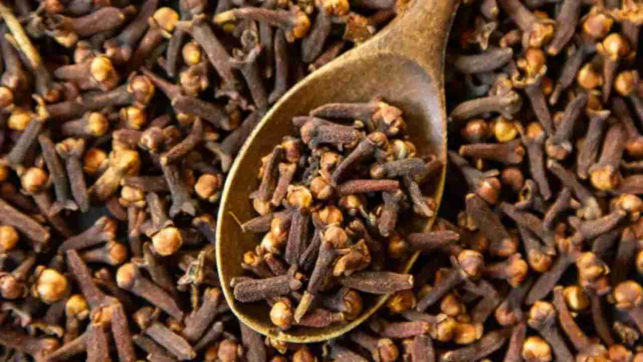 Benefits of clove : कोरड्या खोकल्यासह अनेक समस्यांवर रामबाण उपाय आहे लवंग