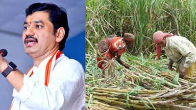 या जिल्ह्यात वसतिगृहे सुरू होणार, तुमचा जिल्हा यात आहे का?; धनंजय मुंडे यांच्या प्रयत्नांना मोठं यश