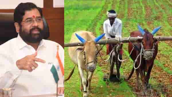 अवकाळी पावसामुळे झालेल्या पीक नुकसानीच्या भरपाईबाबत राज्य सरकारचा महत्वाचा निर्णय