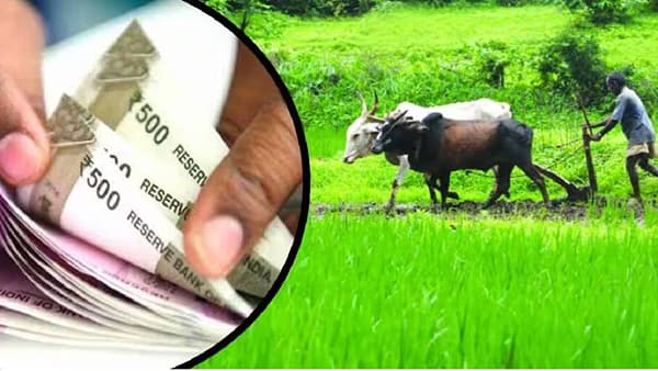Budget 2024 | शेतकऱ्यांना आता वर्षाला 6 हजारांपेक्षा पण जास्त पैसे मिळणार का? सरकार खुशखबर देणार का?