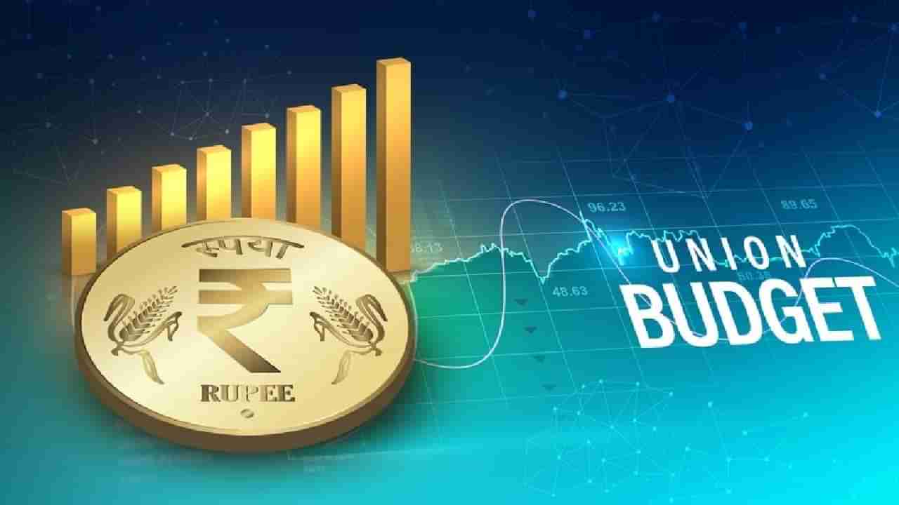 Budget 2024 | केंद्र सरकार का मांडणार यंदा तात्पूरता अर्थसंकल्प? हे आहे कारण