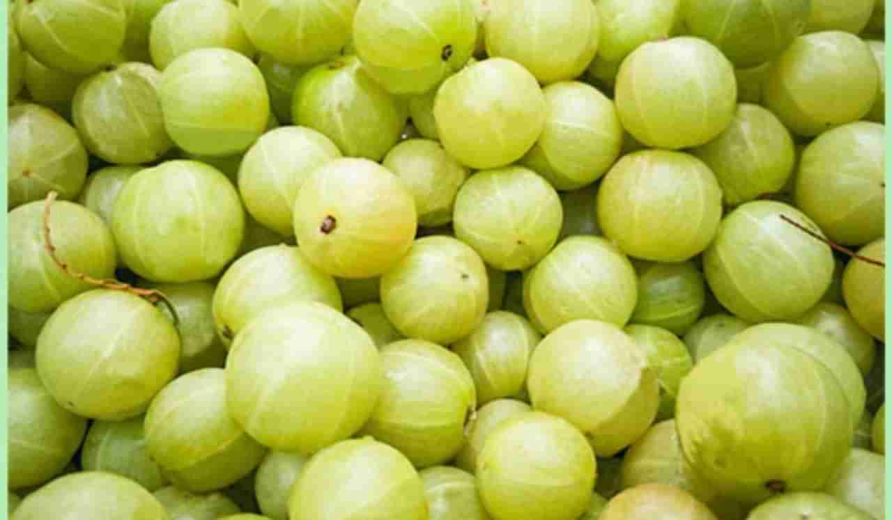 Benefits of Amla : मधुमेहाच्या रुग्णांची आवळ्याचा असा करावा आहारात समावेश