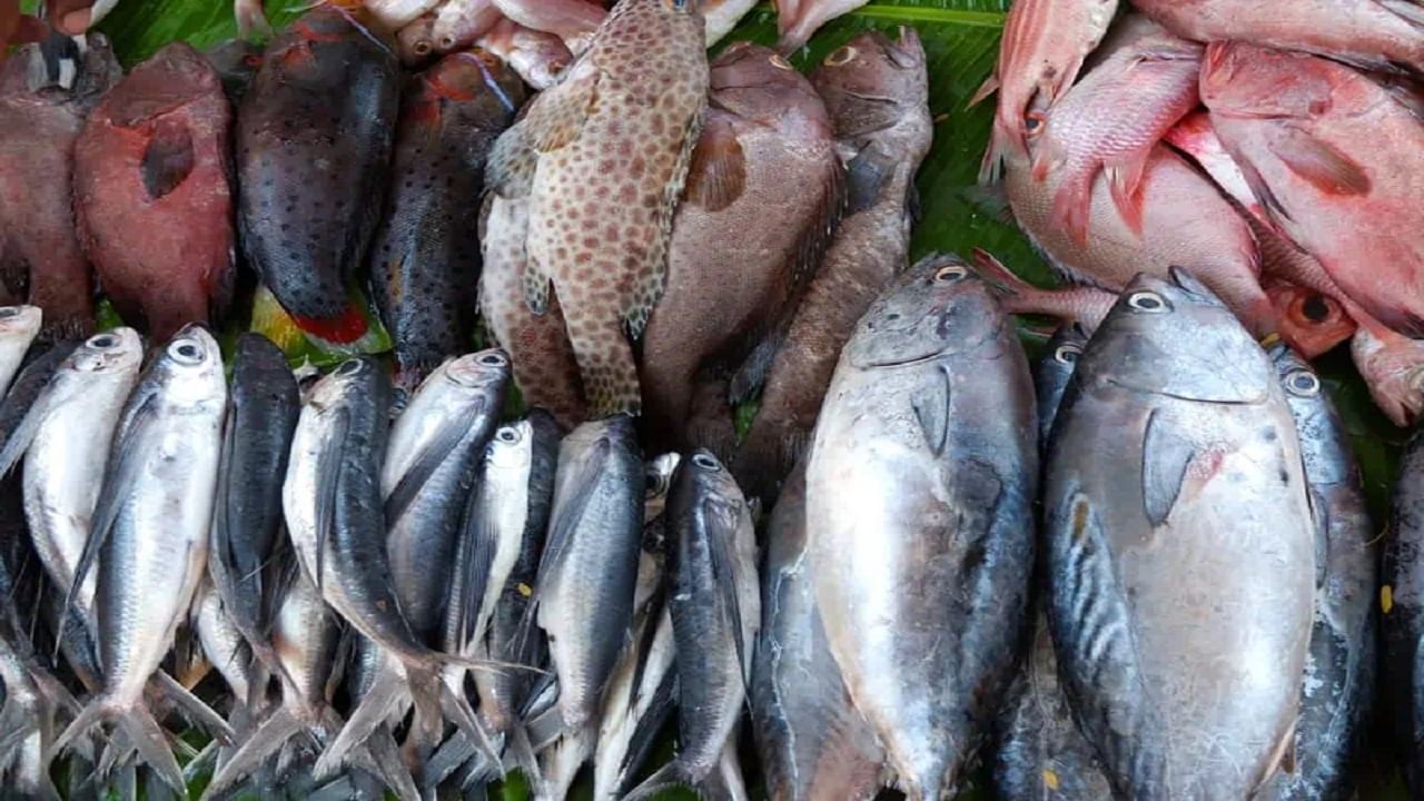 भाऊचा धक्का मुंबईतील सर्वात मोठं फिश मार्केट आहे. या बाजारात अनेक मासे प्रेमी मासे खरेदी करण्यासाठी येतात. भाऊचा धक्का या बाजारात ग्राहकांना परवडणाऱ्या दरात मासे खरेदी करता येतात. 