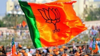 राज्यातील भाजपचे दिग्गज नेते लोकसभेच्या रिंगणात ? ही आहेत नावे