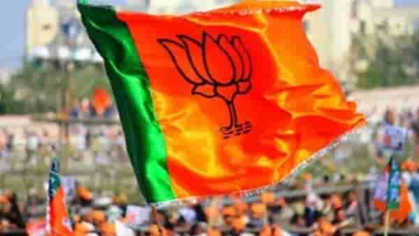 राज्यातील भाजपचे दिग्गज नेते लोकसभेच्या रिंगणात ? ही आहेत नावे