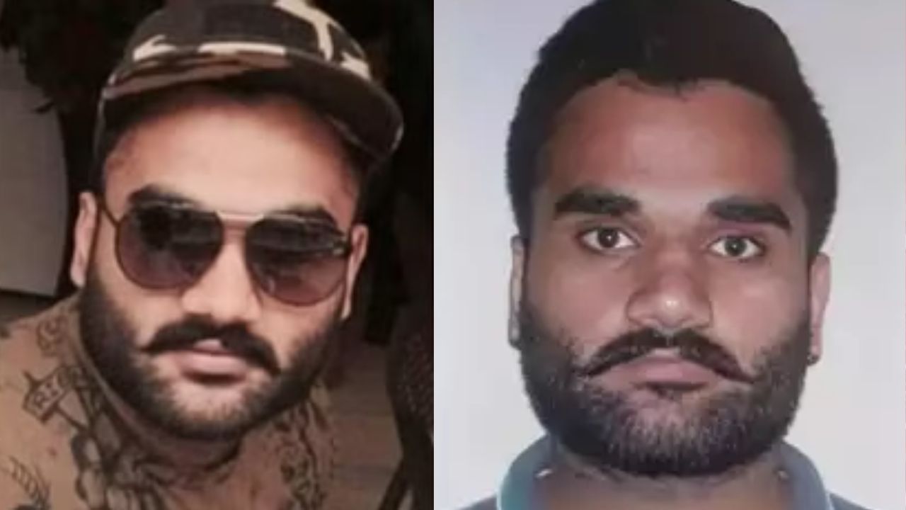 सरकारने दहशतवादी घोषित केलं, हिटलिस्टवर आलेला गोल्डी बराड़ आहे तरी कोण? सरकारने दहशतवादी घोषित केलं, हिटलिस्टवर आलेला गोल्डी बराड़ आहे तरी कोण?
