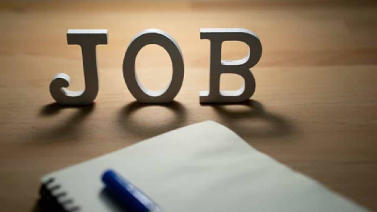 जर तुम्ही सरकारी नोकरीच्या शोधात असाल तर ही बातमी तुमच्यासाठी अत्यंत महत्वाची आहे. विशेष म्हणजे थेट सरकारी नोकरी करण्याची संधी तुमच्याकडे आहे. बंपर भरतीला सुरूवात झालीये.