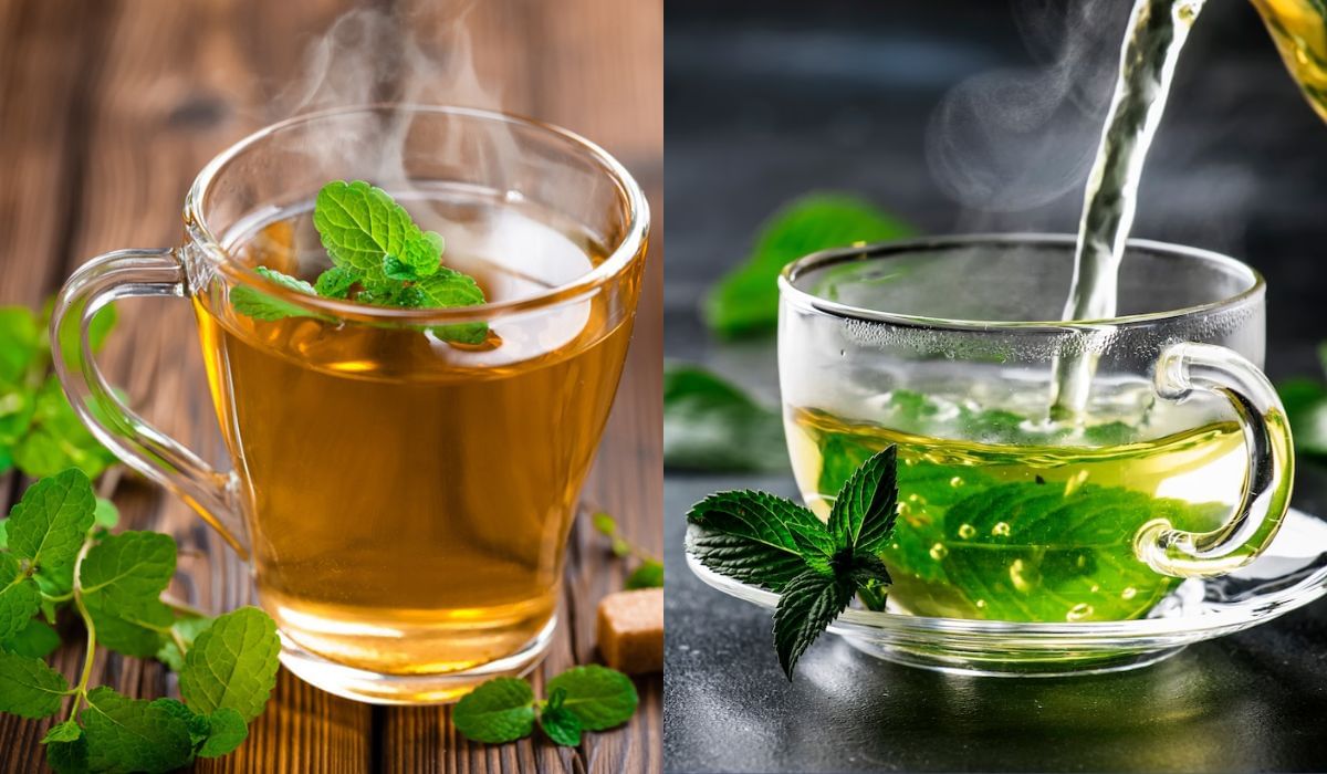 Black Tea की Green Tea? वजन कमी करण्यासाठी कोणता चहा ठरतो फायदेशीर