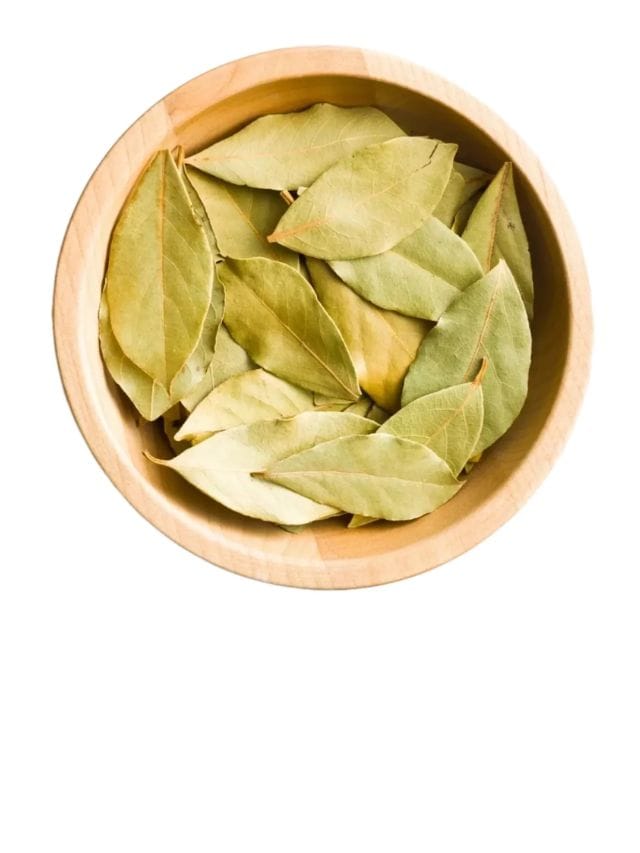 bay leaf Benefits पोटाच्या समस्यांवर तमालपत्राचा चहा पिण्याचे फायदे
