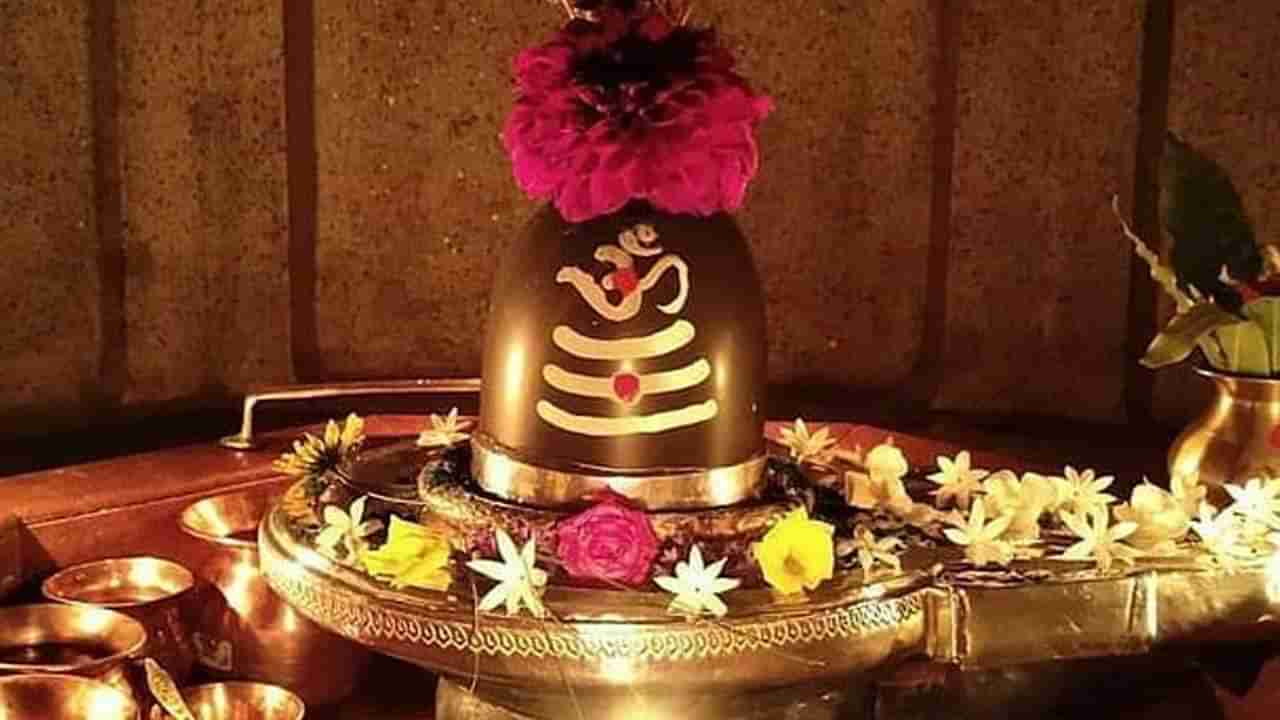 Mahashivratri 2024 : महाशिवरात्रीला करा या वस्तूंचे दान, आर्थीक समस्या होतील दूर