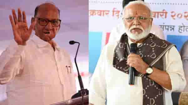 छगन भुजबळ, हसन मुश्रीफ यांना पुन्हा संधी देणार? शरद पवार म्हणाले...