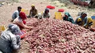 Video | काका-पुतण्याचं प्रेम कसं असलं पाहीजे….रितेश देशमुख भावूक झाले म्हणाले की….