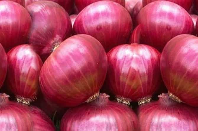 कांद्याचा वांदा, निर्यात बंदी रद्द झाल्यानंतर अडचणी सुटेना, कांद्याचे 400 कंटनेर अडकले