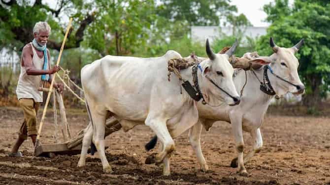 पीएम किसान योजनेचा लाभ घ्यायचा असेल तर या बाबी जरूर लक्षात ठेवा