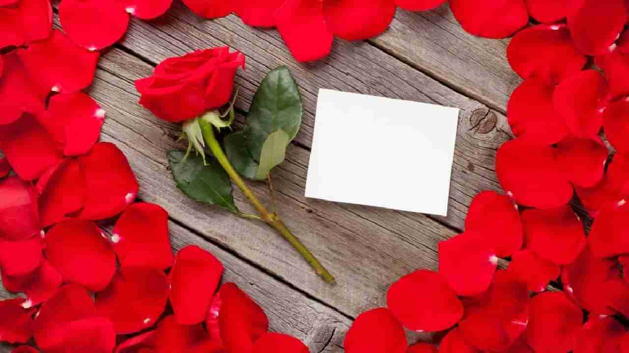 Rose Day 2024 : का साजरा केला जातो रोज डे?, असे आहे या दिवसाचे महत्त्व