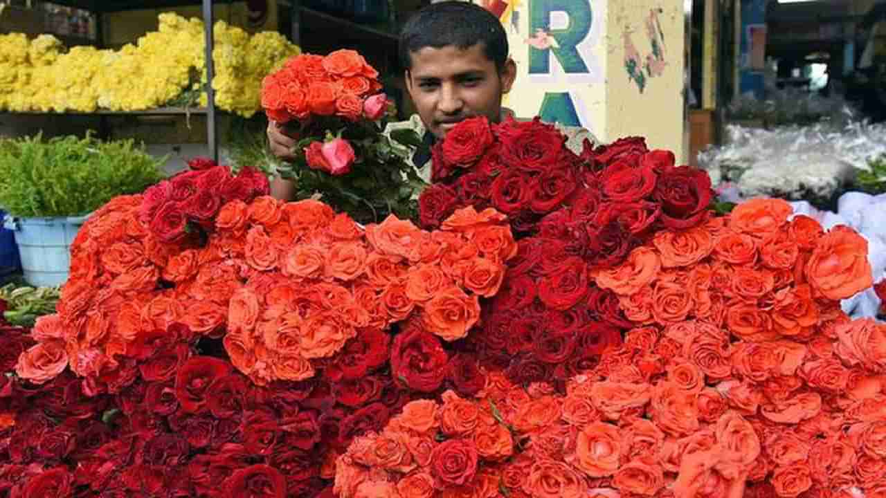Valentine Day : गुलाबांच्या फुलांनी सजली बाजारपेठ, शेतकऱ्यांसह फुल विक्रेत्यांचे व्यावसायही बहरले