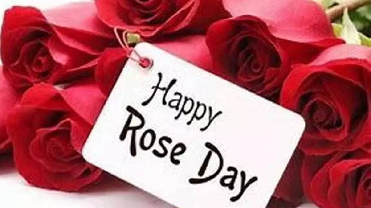 Rose Day 2024 Date :  आज वैलेंटाईन वीकचा पहिला दिवस, ‘रोज डे’ला पाठवा तुमच्या प्रिय व्यक्तीला खास शुभेच्छा संदेश