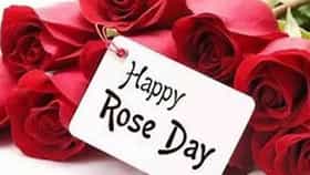 आज वैलेंटाईन वीकचा पहिला दिवस, 'रोज डे' शुभेच्छा संदेश