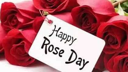 आज वैलेंटाईन वीकचा पहिला दिवस, 'रोज डे' शुभेच्छा संदेश