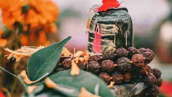 Mahashivratri 2024 : महादेवाला बेल का वाहतात? अनेकांसाठी नवीन आहे माहिती
