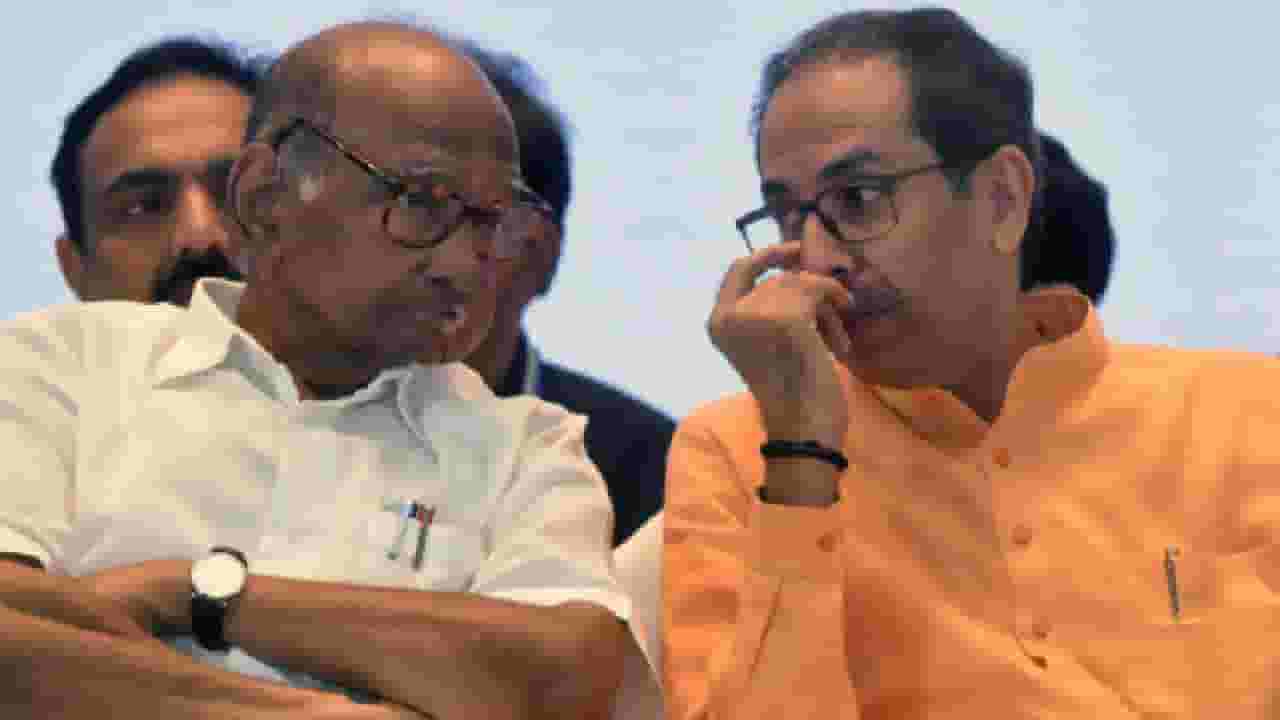 शरद पवारांचा हात ज्याच्यावर पडतो तो भस्म... शिवसेनेच्या मंत्र्यांची ठाकरेंवर एकेरी भाषेत टीका