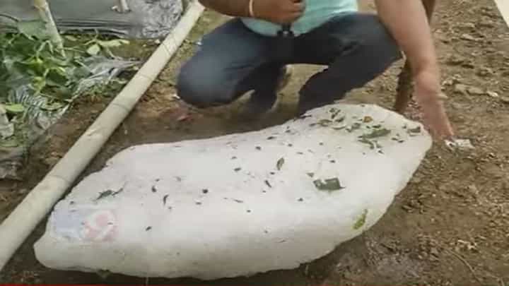 बाप रे बाप... अशी गारपीट तुम्ही कधी पहिलीये? 15 तासांनंतरही भल्यामोठ्या गारांचा खच तसाच अन्... बाप रे बाप... अशी गारपीट तुम्ही कधी पहिलीये? 15 तासांनंतरही भल्यामोठ्या गारांचा खच तसाच अन्...