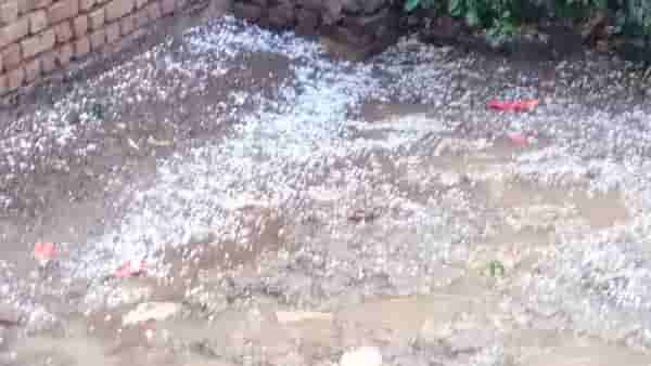 महाराष्ट्रातील या जिल्ह्यांना अवकाळी पावसाचा मोठा फटका, गारपीटमुळे प्रचंड नुकसान