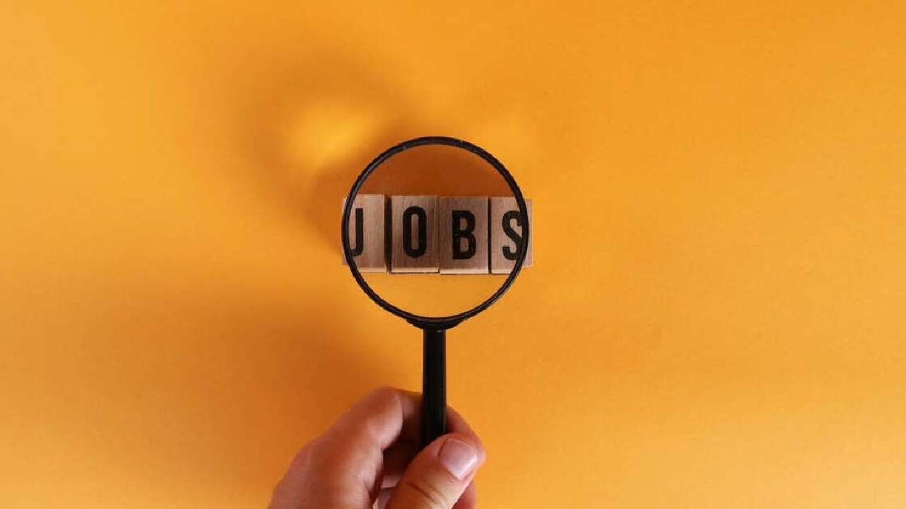 dsssb.delhi.gov.in. या साईटवर जाऊन तुम्हाला या भरती प्रक्रियेसाठी अर्ज करावा लागणार आहे. 567 मल्टी टास्किंग स्टाफची पदे ही या भरती प्रक्रियेतून भरली जाणार.