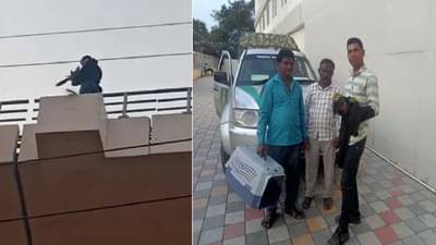 जेव्हा पोपटाला वाचविण्यासाठी स्पेशल मेट्रो चालविण्यात आली, चिमुकल्या जीवासाठी यंत्रणा हलली