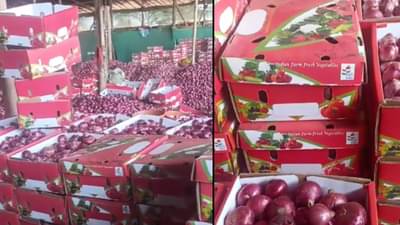 चक्क आता कांद्याची तस्करी, बॉक्स डाळिंब अन् टोमॅटोचा, परंतु आतामध्ये कांदा, Video व्हायरल